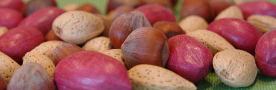 nuts in shell nuts in shell