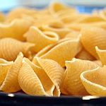 pasta shells