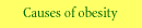 Causes of obesity